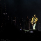 Preview Image 1